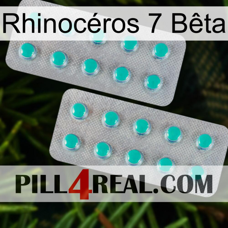 Rhinocéros 7 Bêta 29